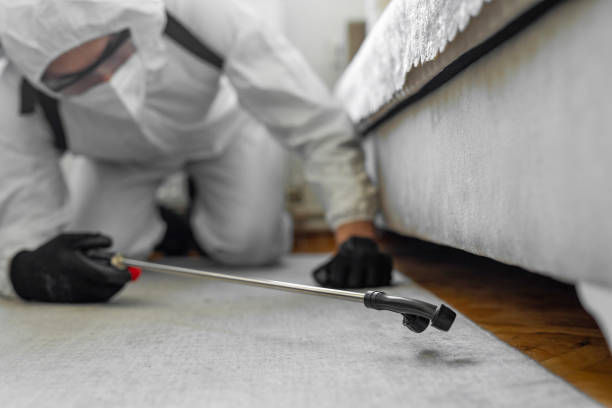Professional Bed Bug Control technician working in Woodinville, WA