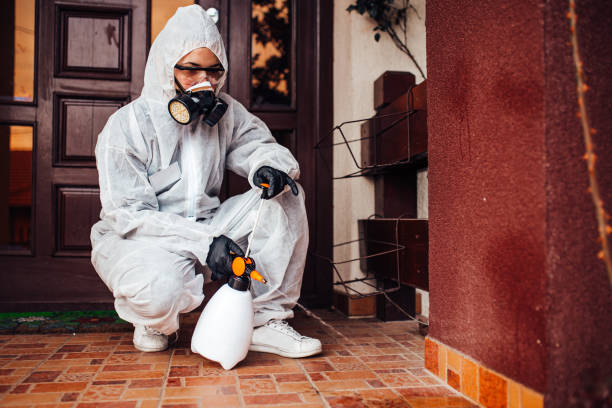 Reliable Bed Bug Control contractor in Woodinville, WA by Nex Pest Control