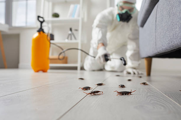 Trusted Termite Control service in Woodinville, WA - Nex Pest Control