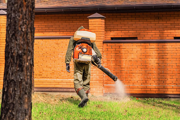 Trusted Emergency Pest Control service in Woodinville, WA - Nex Pest Control